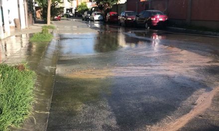Saltillo: Se fugan miles de litros de agua potable