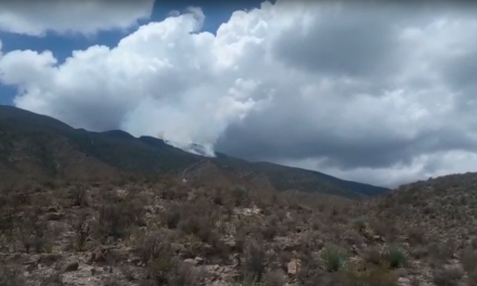 Resurge incendio en Parras