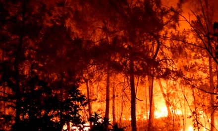 900 bomberos combaten incendio masivo en el sureste de Francia