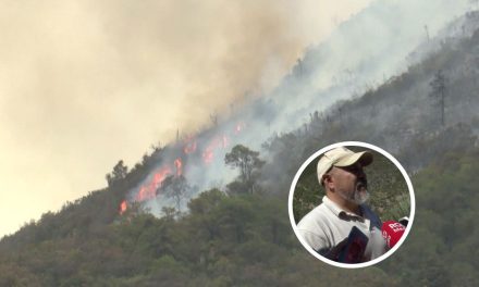 Analiza PROFAUNA daños de incendios y buscarán realizar obras de restauración en Saltillo