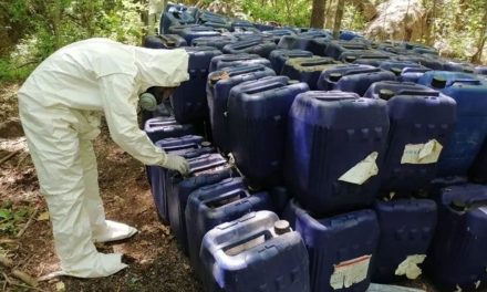 La Sedena asegura tres laboratorios clandestinos en Sinaloa