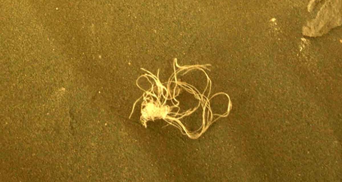 Robot de la NASA encuentra objeto misterioso en Marte; científicos investigan