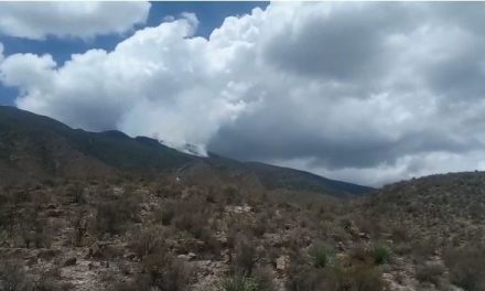 Se incendia sierra en Parras y Gobierno de Coahuila acude: lleva cuatro hectáreas consumidas
