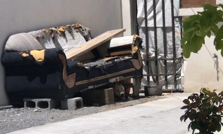 Saltillo: Pitbull es el terror en la colonia Vistas de Peña; anda suelto y vecinos temen un ataque