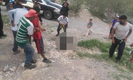 PROPAEC denuncia muerte de osezno