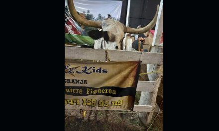 Usuaria de TikTok reporta maltrato animal a toro en la Feria de Saltillo (Video)