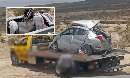 Conductor dormita y fallece mujer en aparatosa volcadura sobre autopista Saltillo-Torreón; hay seis heridos