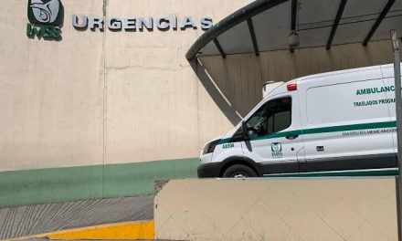 Niña cae de una azotea en Saltillo; le estaba dando de comer a un perro y está al borde de la muerte