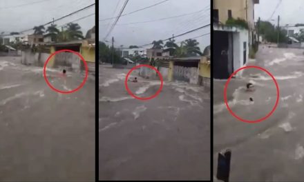 ¡Se los llevó la corriente! Así se viven las inundaciones en Campeche (video)