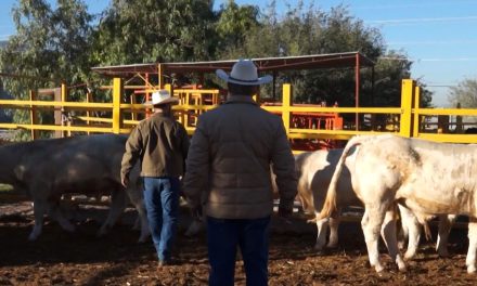 Hacen falta recursos para el campo en Coahuila