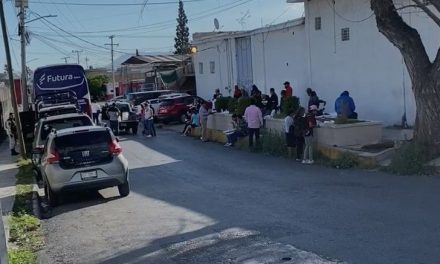 Saltillo: Encuentran maletas con droga que viajaban en un camión de pasajeros; no era de nadie