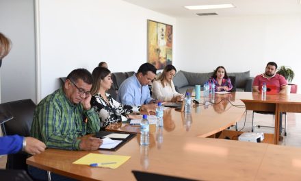 Lanzarán nueva convocatoria para suplentes del Consejo Consultivo en la Laguna