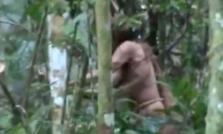 Muere el ‘indígena del hoyo’; resistió el contacto humano por más de 30 años en Brasil