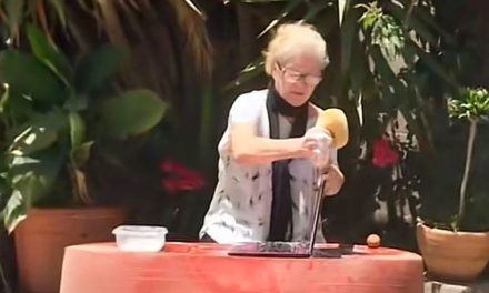 Abuelita lava la laptop de su nieto con agua y jabón (video)