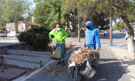 Cuadrillas de limpieza embellecen Saltillo diariamente