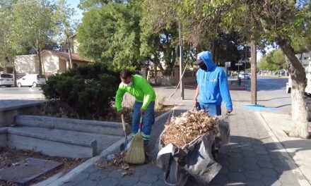 Incansable labor de limpieza en espacios públicos de Saltillo