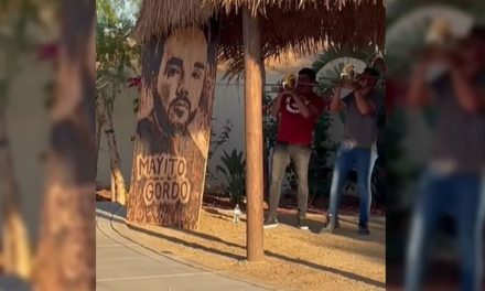 Hijo del Mayo Zambada, ‘Mayito Gordo’ ya se encontraría libre en Sinaloa (video)