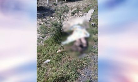 Menor de edad fue encontrado sin vida a la orilla de la carretera Saltillo-Zacatecas
