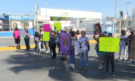 Saltillo: Piden desde el Congreso justicia por la perrita Mery
