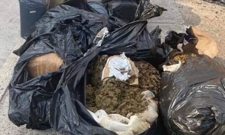 Abandonan 90 kilos de marihuana en plena calle de León, Guanajuato