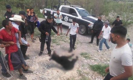 Inadaptados: Habitantes de Castaños, Coahuila, matan a oso frente a autoridades (video)