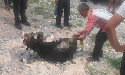 Coahuila: Todo el peso de la ley a responsables de torturar y matar a un osito (video)