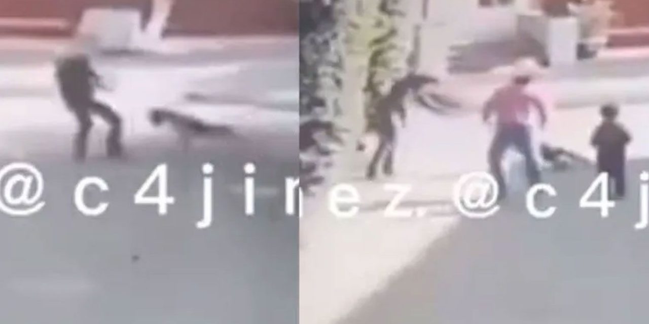 Hombre ahorca a perro amarrado y lo patea en calles de la CDMX (video)