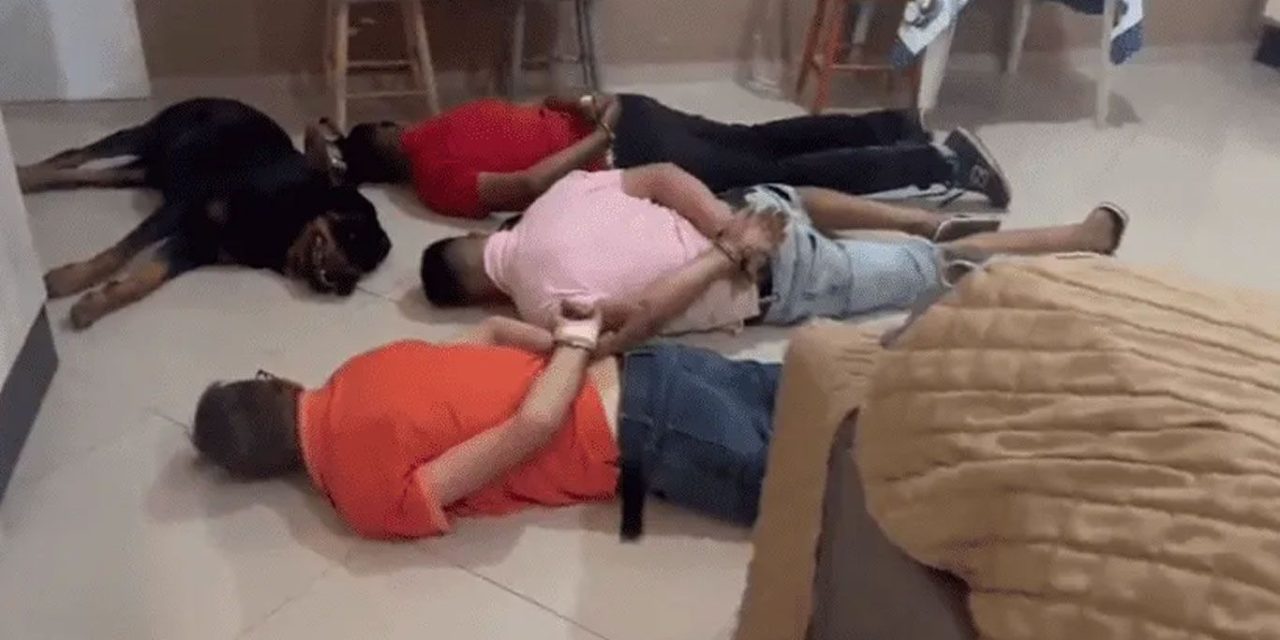 ‘Narco-perro’ se rinde ante las autoridades junto a sus amos detenidos (video)