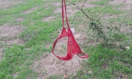 Buscan a ‘tangaciena’; olvida su ropa interior en una rama y se hizo viral