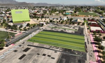 Al 50 por ciento rehabilitación del campo de americano en el Biblioparque Sur