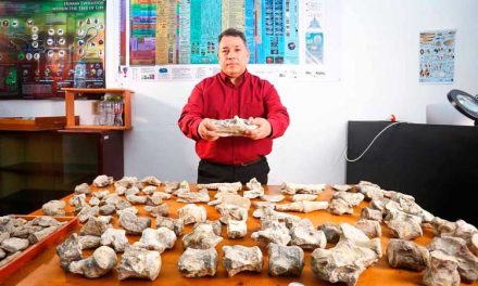 Campesino halla fósiles de una nueva especie de lagarto en Nuevo León