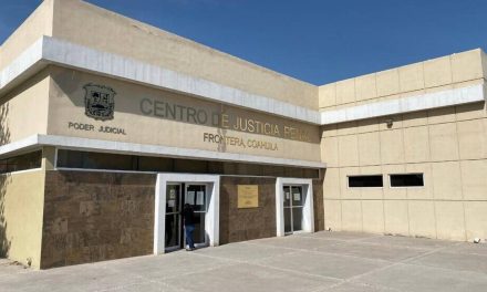 Vinculan a siete a proceso por muerte de osezno en Castaños