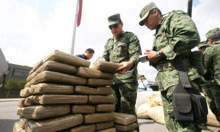 Decomisan marihuana en Nueva Rosita