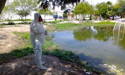 Realizan acciones de fumigación en colonias de Torreón
