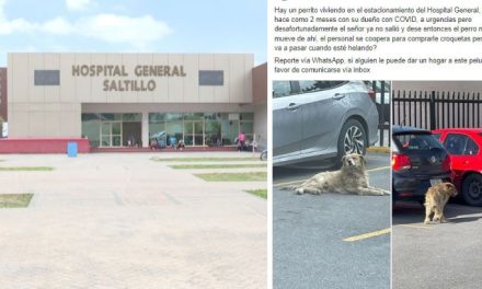 Desmienten historia de ‘Hachiko’ saltillense: era lomito callejero que buscaba comida