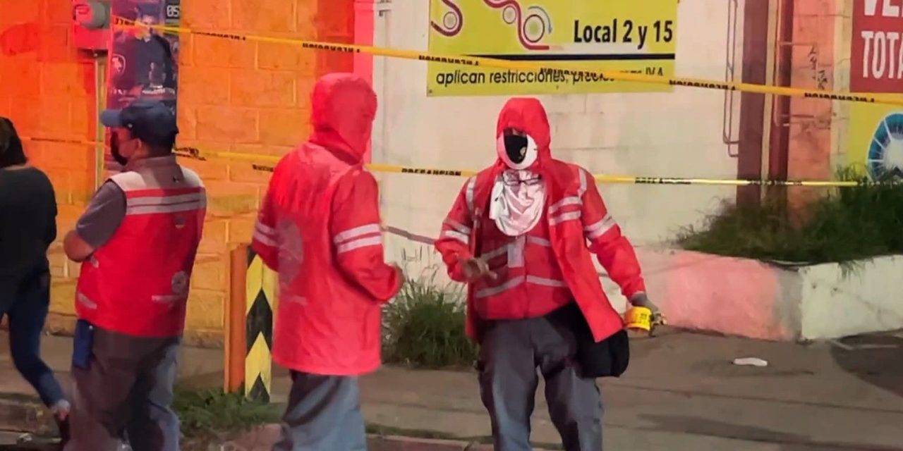 Un enjambre de abejas enfurece y ataca a 9 personas en Saltillo