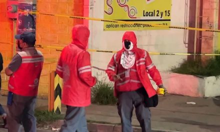Un enjambre de abejas enfurece y ataca a 9 personas en Saltillo