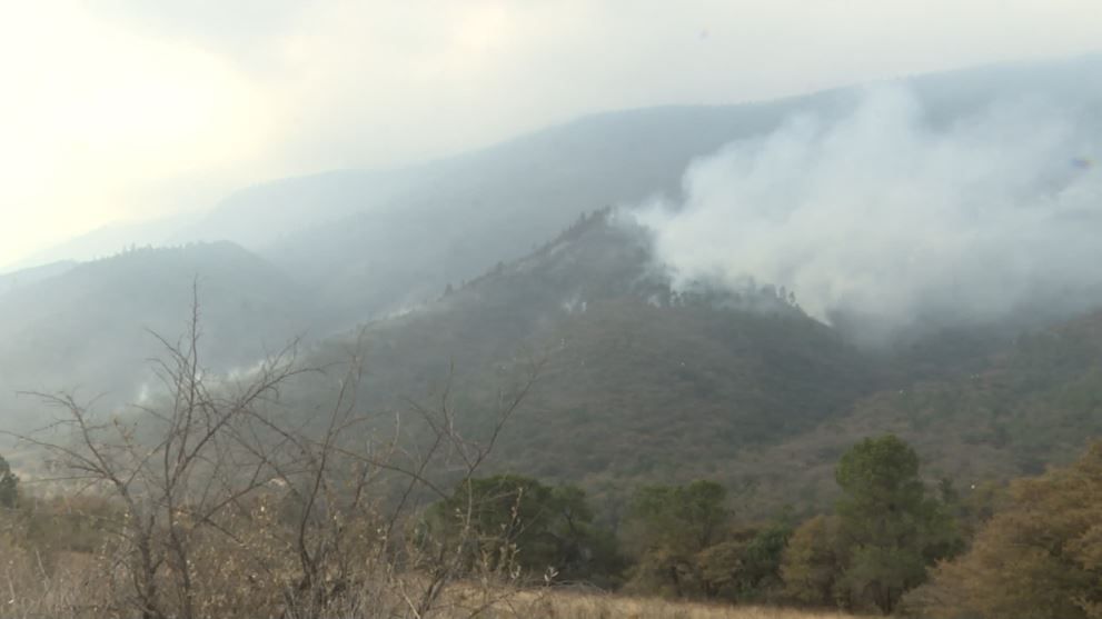Más de 800 hectáreas afectadas por incendios durante el 2022