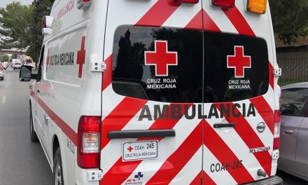 ‘Burro Pardo’ termina en el pavimento al ser atropellado por un motociclista en Saltillo