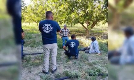 Gato Montes ataca a jornalero en un ejido de Parras de la Fuente