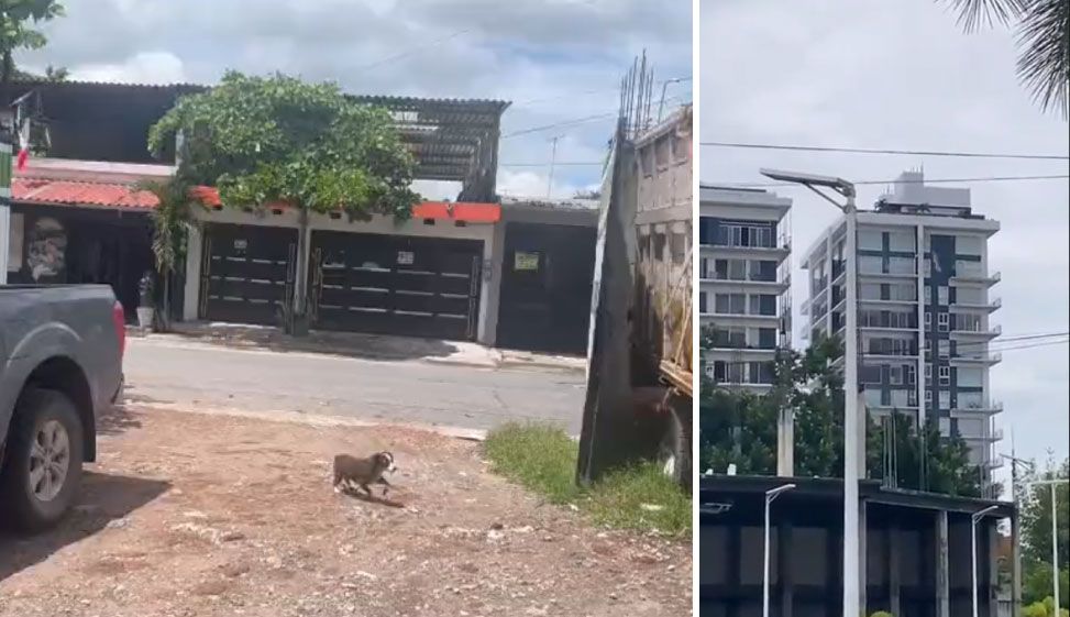 ‘Literal, se movió todo’: viven pánico en Jalisco; captan edificios que se tambalean por el sismo (videos)