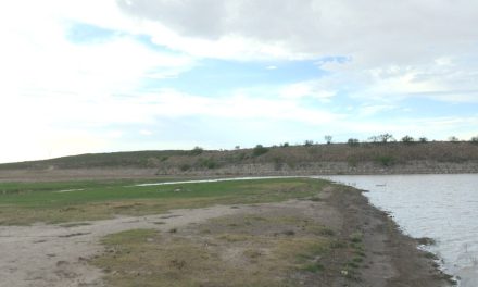 De nada sirven lluvias en Coahuila; Sin apoyo para mantener el agua: UNTA