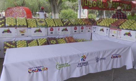 Éxito, el festival de la Manzana; deja derrama económica en Arteaga