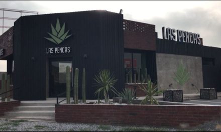 Llegan Las Pencas a Saltillo: buscan conquistar el paladar de la ciudad
