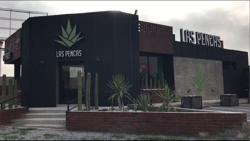 Llegan Las Pencas a Saltillo: buscan conquistar el paladar de la ciudad