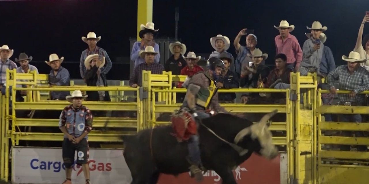 Supera Festival del Rodeo las expectativas en Saltillo
