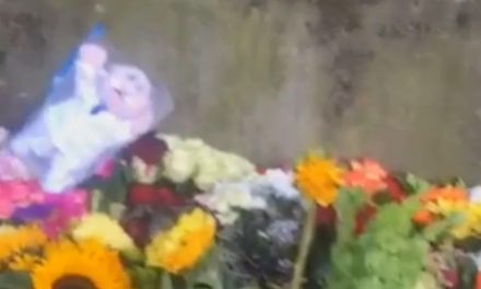 Pintamos toda la casa… ¿Qué es eso? Dr. Simi es dejado como ofrenda a la Reina Isabel