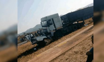 Al menos 16 niños mueren en choque de transporte escolar en Sudáfrica (video)