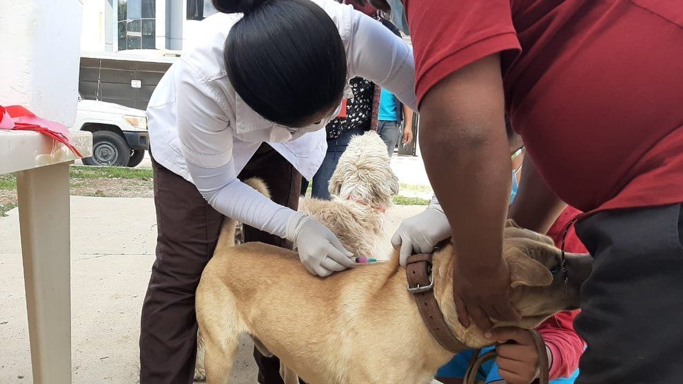 Finaliza campaña para mascotas en Sabinas
