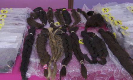 Dona DIF Ramos Arizpe 222 trenzas para la elaboración de pelucas para pacientes con cáncer